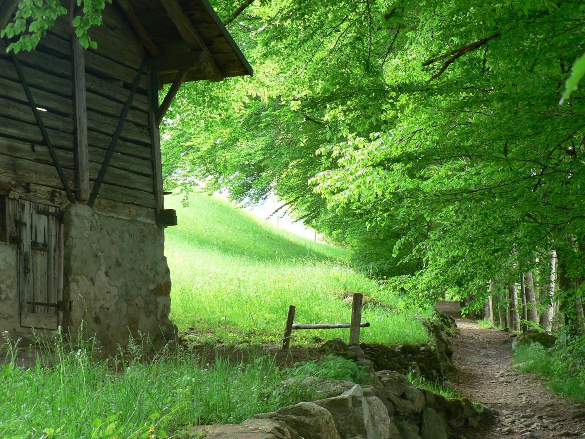B3 Boutique-Bed&Breakfast&Apartment Gsteigwiler Extérieur photo